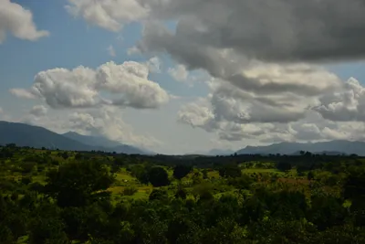 DSC_4385 (Large).JPG